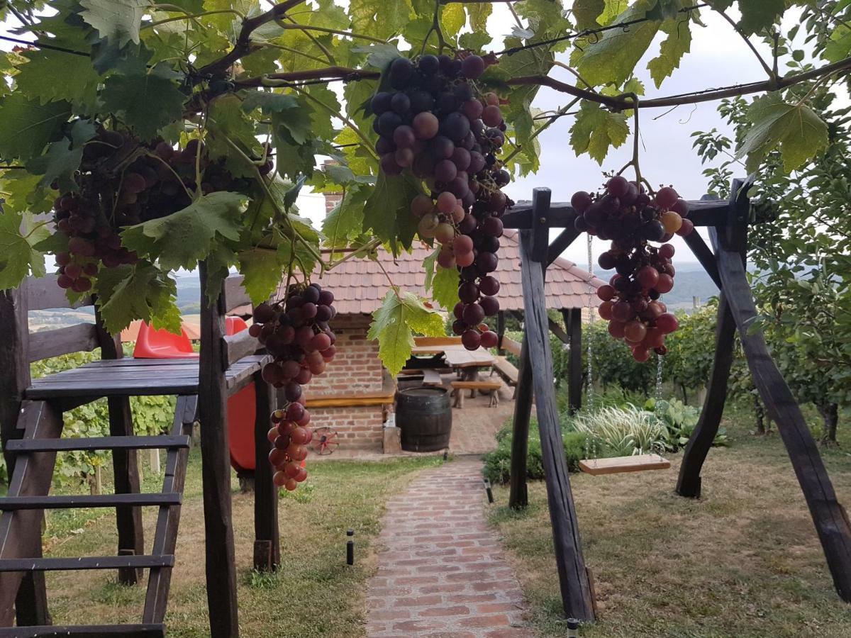 Holiday Home Kalnik Zewnętrze zdjęcie